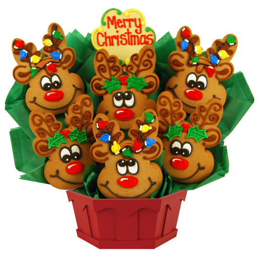 Christmas Reindeer Roundup